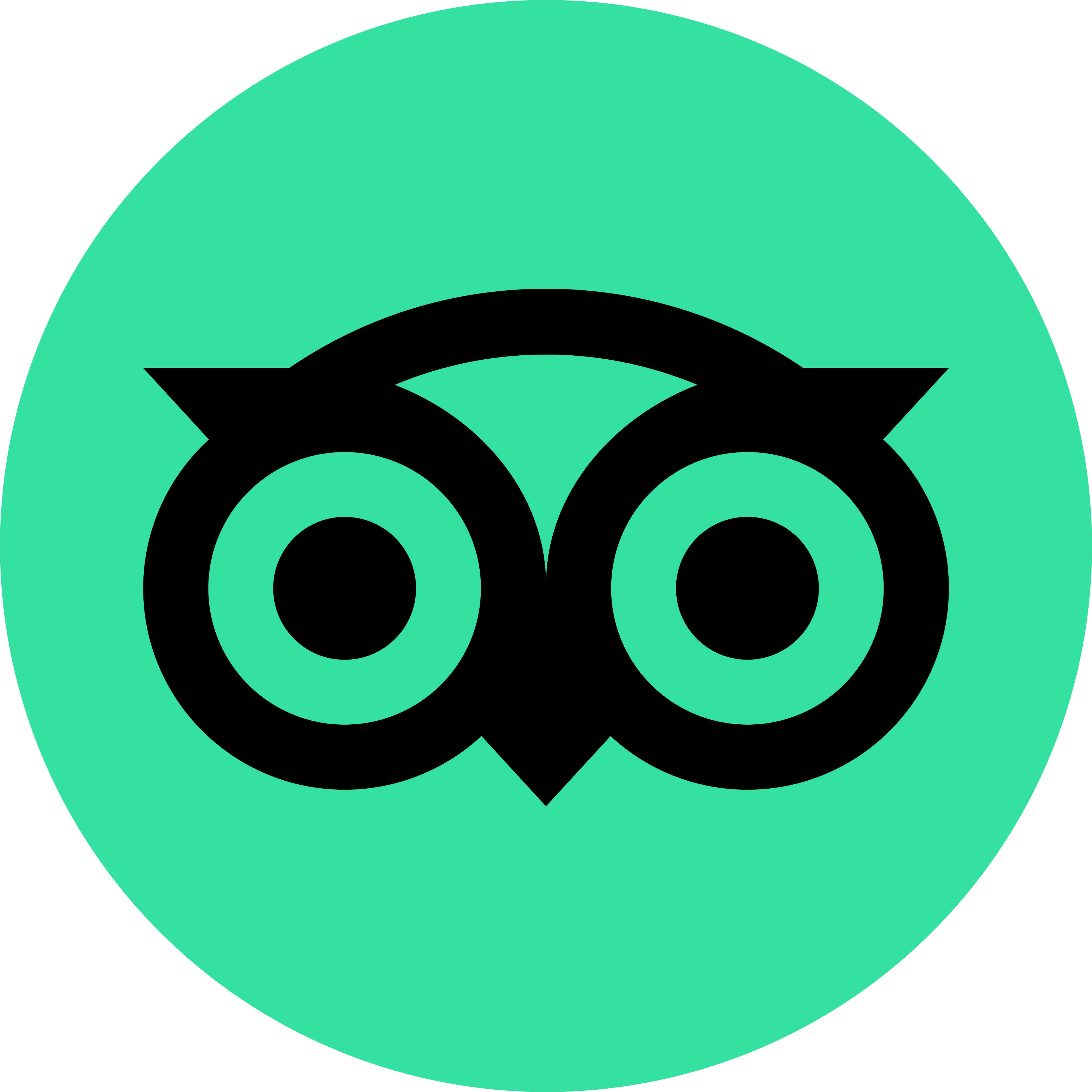 TripAdvisor Icon